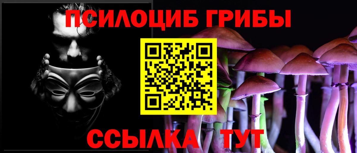 Ессентуки  Псилоцибиновые грибы Magic Shrooms  Псилоцибиновые грибы ЛСД  Вход с VPN 